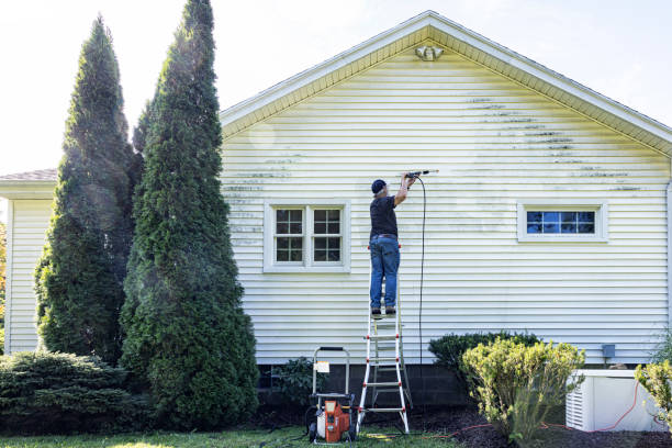 Best Driveway Pressure Washing  in Keizer, OR